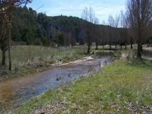 Cañón río Lobos